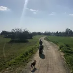 Tranquil Country - Tersefanou Lantställe *