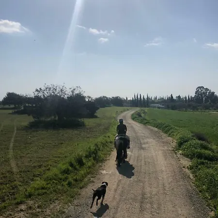 Tranquil Country - Tersefanou Hétvégi ház *