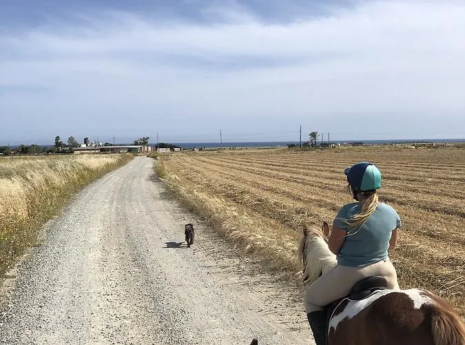 Venkovský dům Tranquil Country - Tersefanou Larnaca