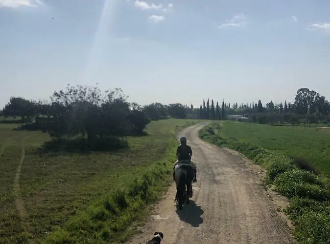 Tranquil Country - Tersefanou Casa di campagna *